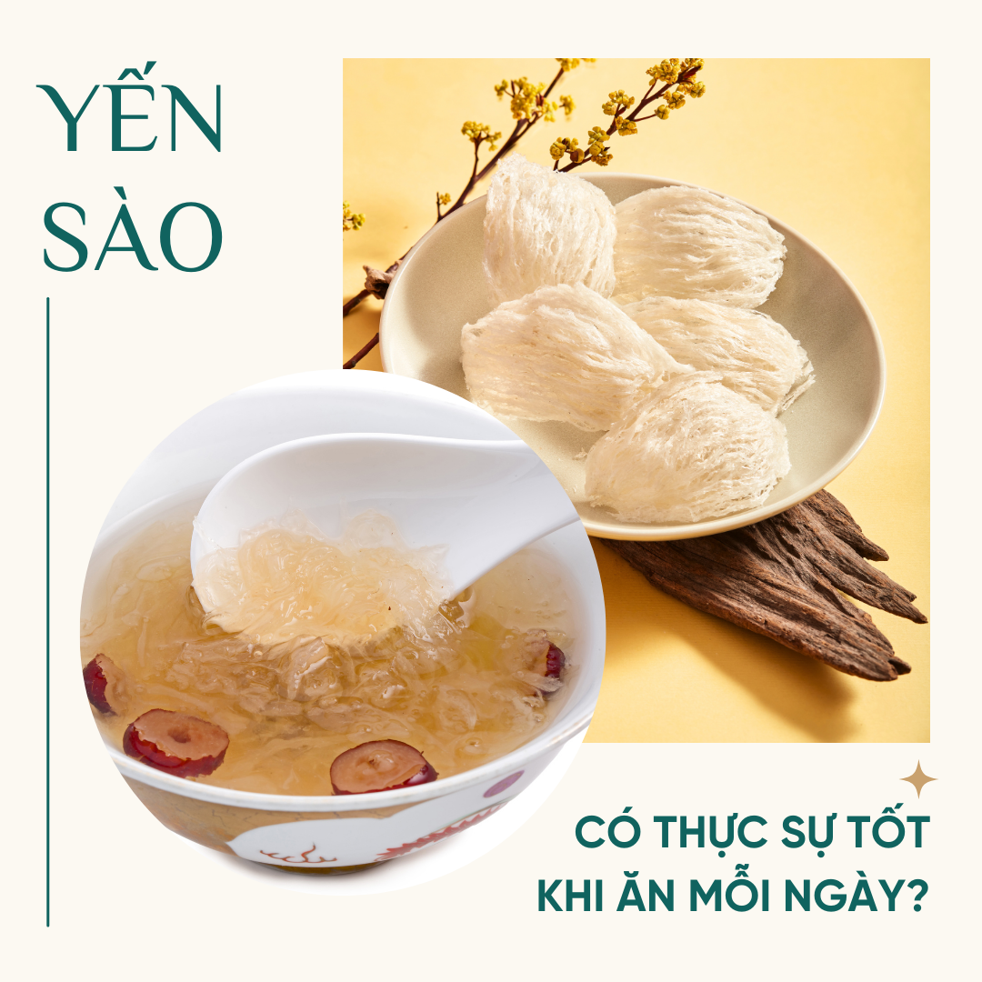 Ăn Yến Sào Mỗi Ngày: Liệu Có Thực Sự Tốt Cho Sức Khỏe?